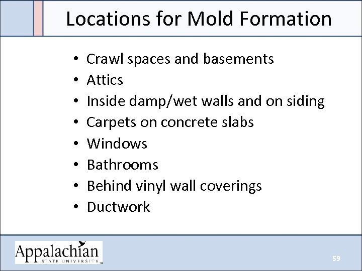 Locations for Mold Formation • • Crawl spaces and basements Attics Inside damp/wet walls