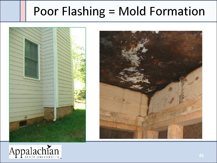 Poor Flashing = Mold Formation 61 