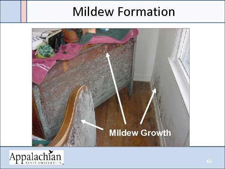 Mildew Formation Mildew Growth 63 