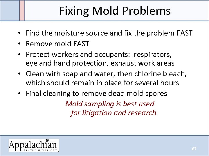 Fixing Mold Problems • Find the moisture source and fix the problem FAST •