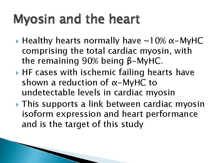 Myosin and the heart Healthy hearts normally have ~10% α-My. HC comprising the total
