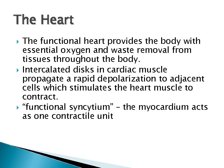The Heart The functional heart provides the body with essential oxygen and waste removal