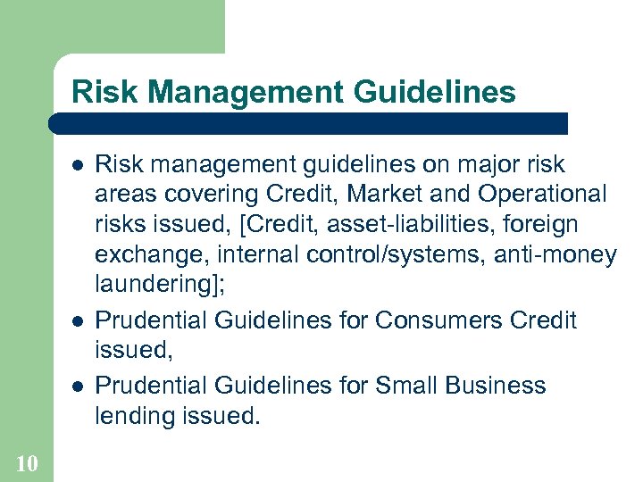 Risk Management Guidelines l l l 10 Risk management guidelines on major risk areas