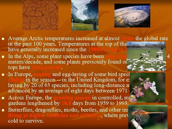 n n n Average Arctic temperatures increased at almost twice the global rate in