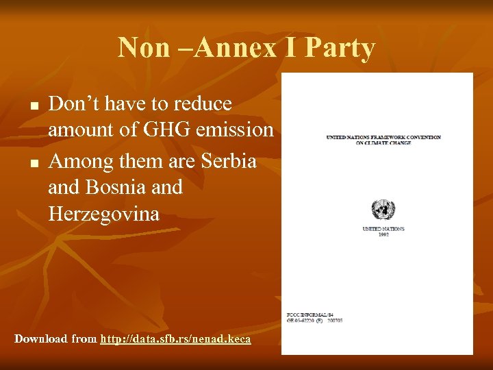 Non –Annex I Party n n Don’t have to reduce amount of GHG emission