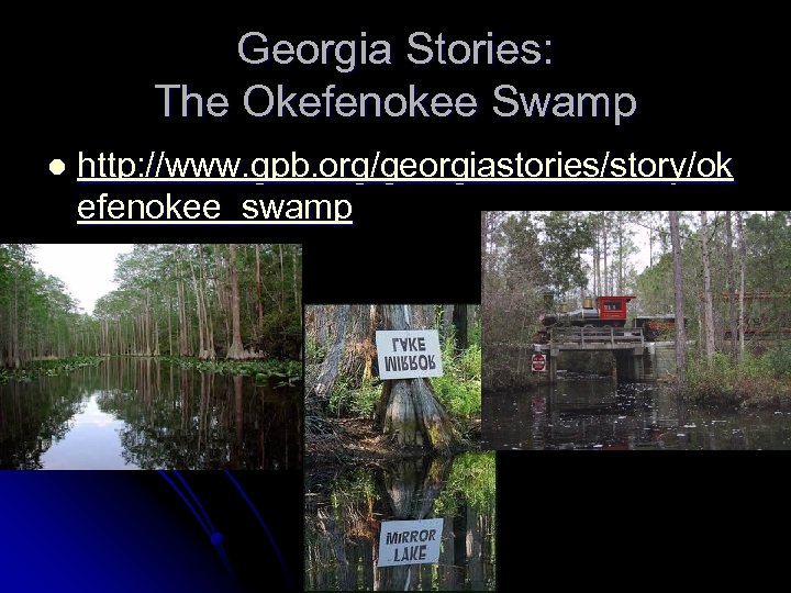 Georgia Stories: The Okefenokee Swamp l http: //www. gpb. org/georgiastories/story/ok efenokee_swamp 