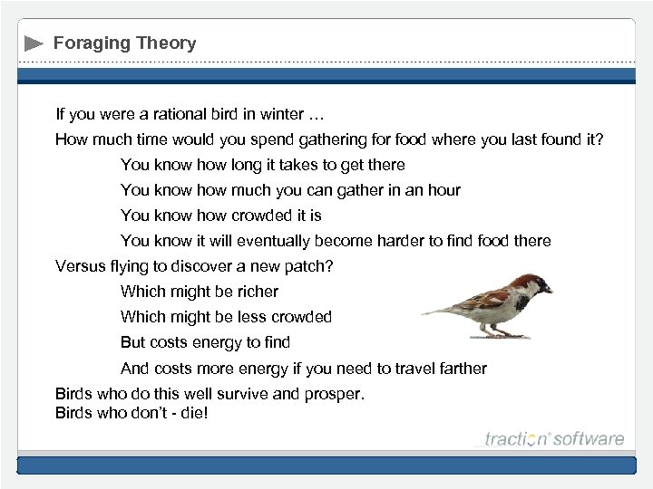 Foraging Theory If you were a rational bird in winter … How much time