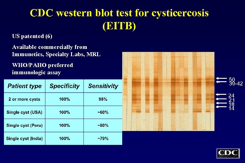 CDC western blot test for cysticercosis (EITB) US patented (6) Available commercially from Immunetics,