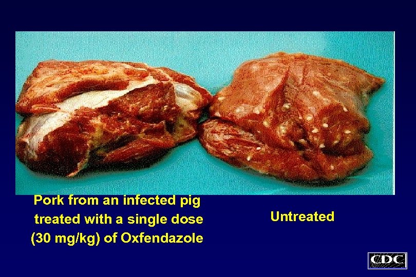 Pork from an infected pig treated with a single dose (30 mg/kg) of Oxfendazole