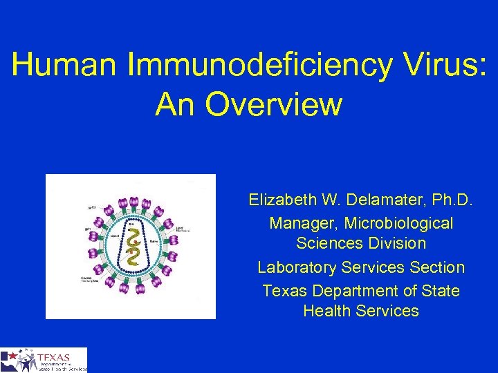 Human Immunodeficiency Virus: An Overview Elizabeth W. Delamater, Ph. D. Manager, Microbiological Sciences Division