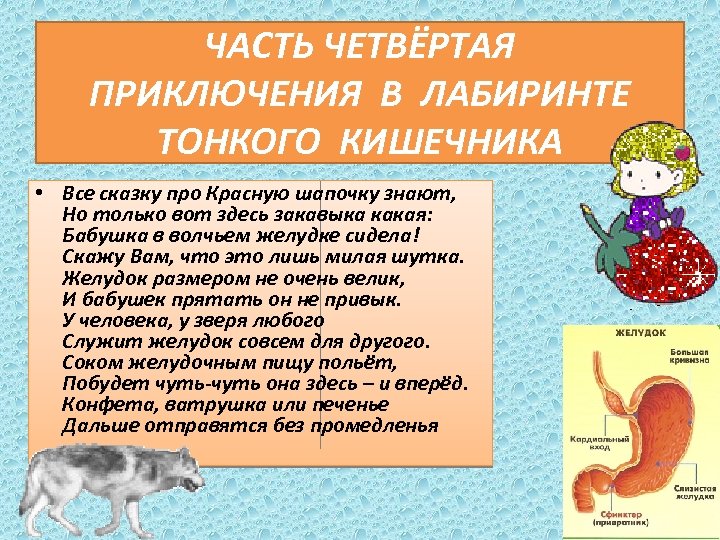ЧАСТЬ ЧЕТВЁРТАЯ ПРИКЛЮЧЕНИЯ В ЛАБИРИНТЕ ТОНКОГО КИШЕЧНИКА • Все сказку про Красную шапочку знают,