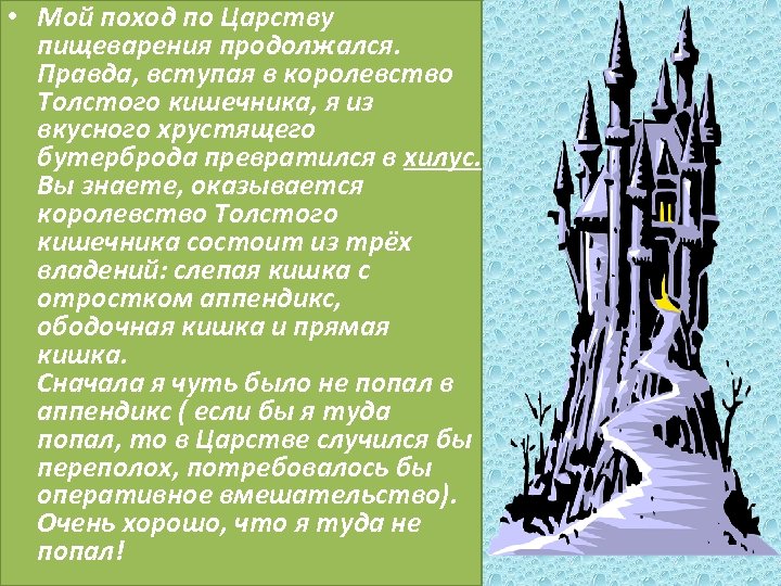  • Мой поход по Царству пищеварения продолжался. Правда, вступая в королевство Толстого кишечника,