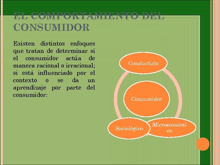 EL COMPORTAMIENTO DEL CONSUMIDOR Existen distintos enfoques que tratan de determinar si el consumidor