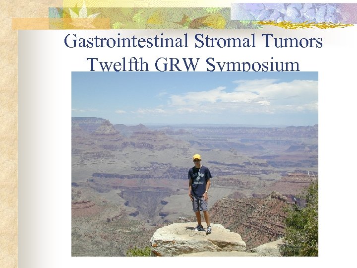 Gastrointestinal Stromal Tumors Twelfth GRW Symposium Surgical Grand Rounds 1 -15 -04 