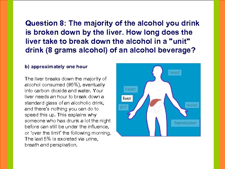 Question 8: The majority of the alcohol you drink is broken down by the