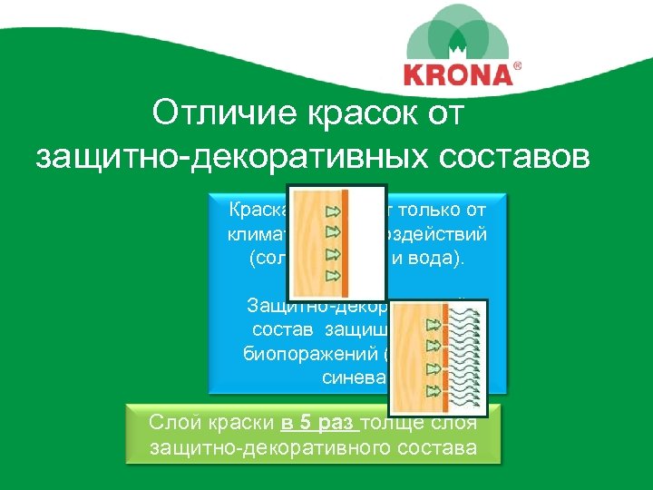 Отличие красок от защитно-декоративных составов Краска защищает только от Краска на поверхности климатических воздействий