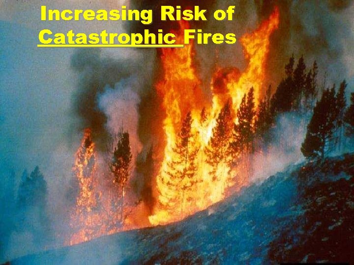 Increasing Risk of Catastrophic Fires 
