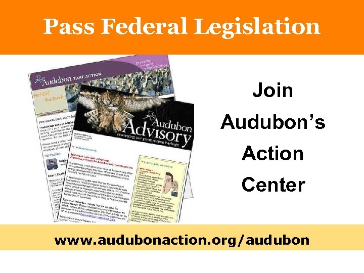 Pass Federal Legislation Join Audubon’s Action Center www. audubonaction. org/audubon 