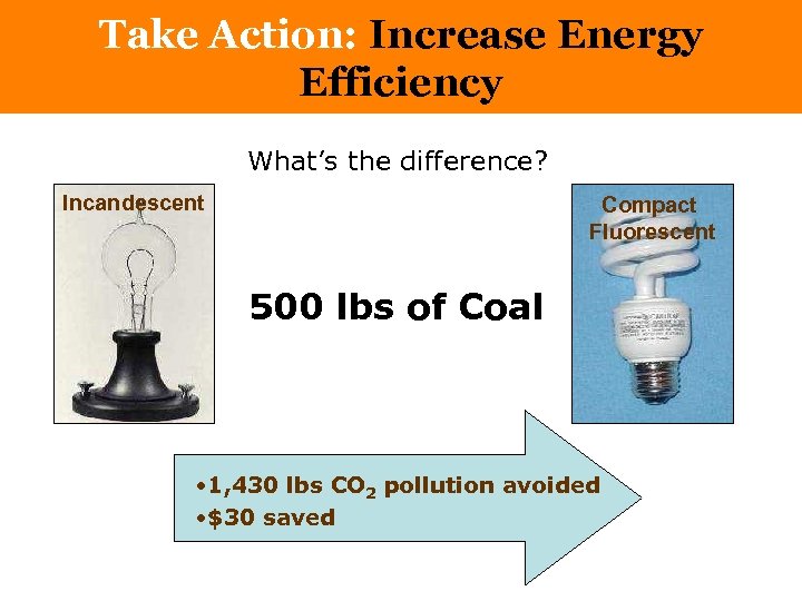 Take Action: Increase Energy Efficiency What’s the difference? Incandescent Compact Fluorescent 500 lbs of