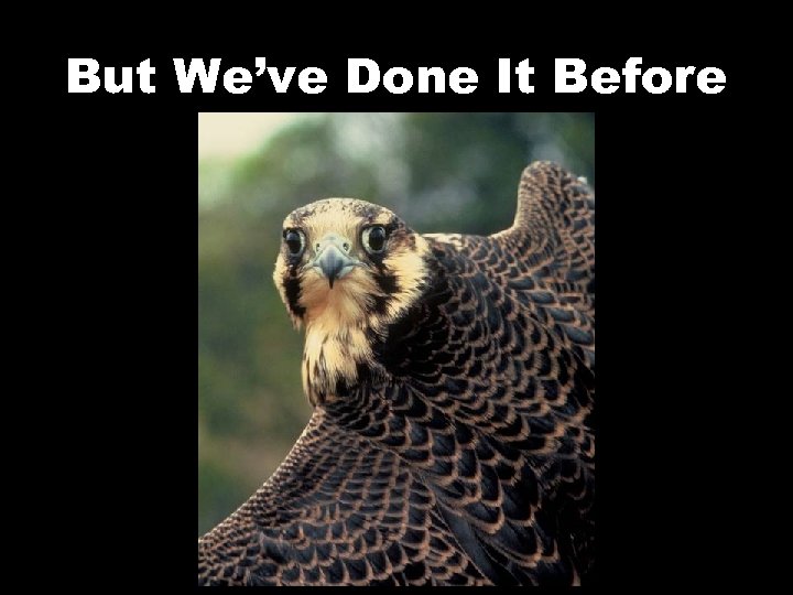 But We’ve Done It Before 