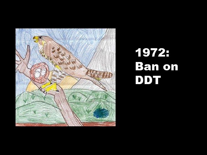 1972: Ban on DDT 