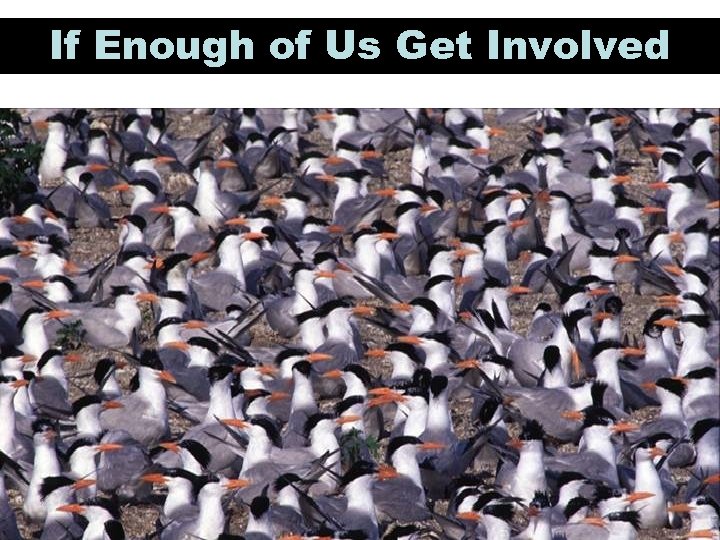 If Enough of Us Get Involved 