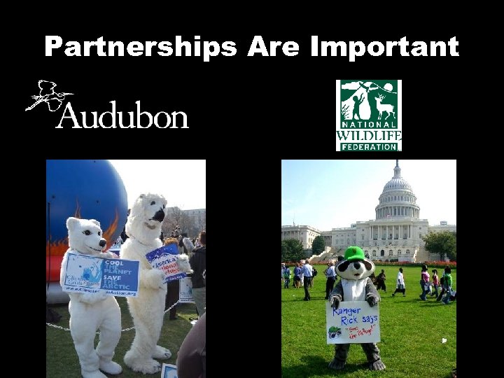 Partnerships Are Important 