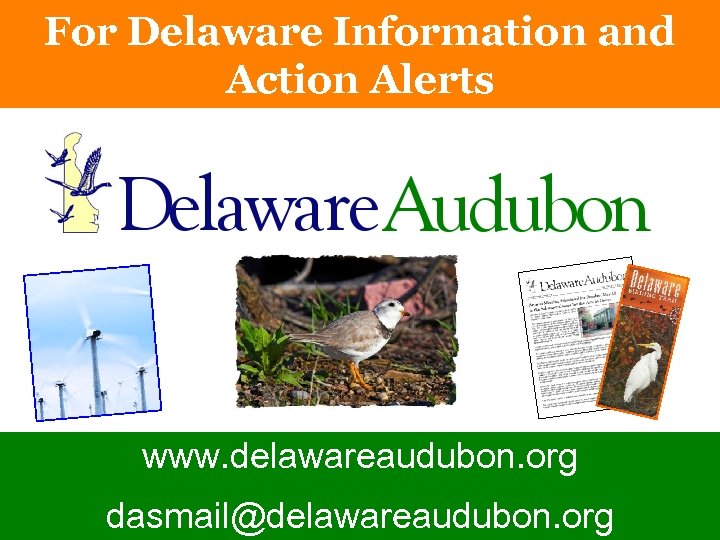 For Delaware Information and Action Alerts www. delawareaudubon. org dasmail@delawareaudubon. org 