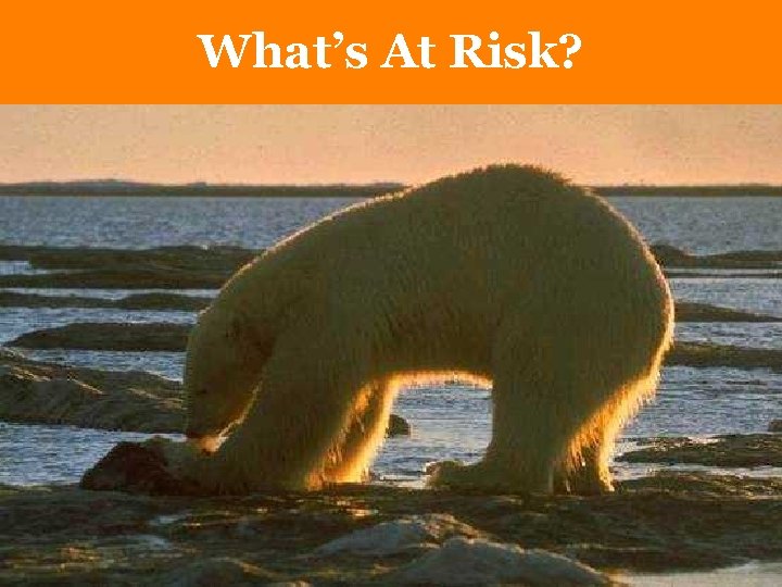 What’s At Risk? 