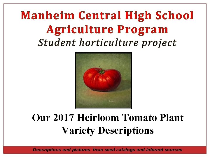 Manheim Central High School Agriculture Program Student horticulture project Our 2017 Heirloom Tomato Plant