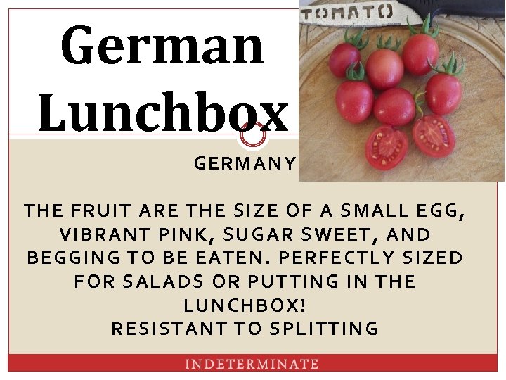 German Lunchbox GERMANY THE FRUIT ARE THE SIZE OF A SMALL EGG, VIBRANT PINK,