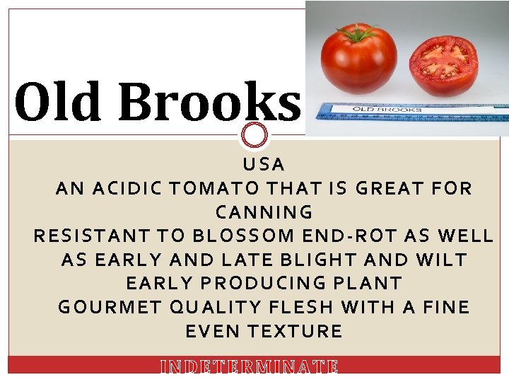 Old Brooks USA AN ACIDIC TOMATO THAT IS GREAT FOR CANNING RESISTANT TO BLOSSOM
