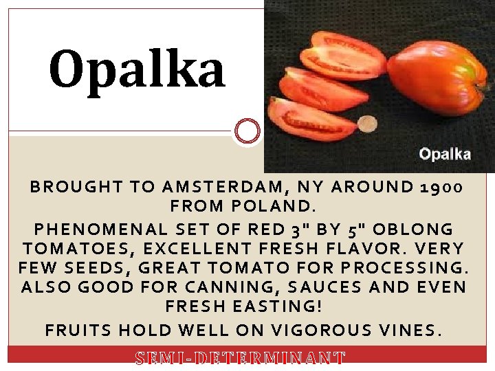 Opalka BROUGHT TO AMSTERDAM, NY AROUND 1900 FROM POLAND. PHENOMENAL SET OF RED 3