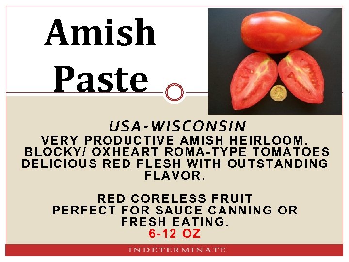 Amish Paste USA-WISCONSIN VERY P RODUCTIVE AMISH HEI RLOOM. BLOCKY/ OXHE ART ROMA-TYPE TOMATOES