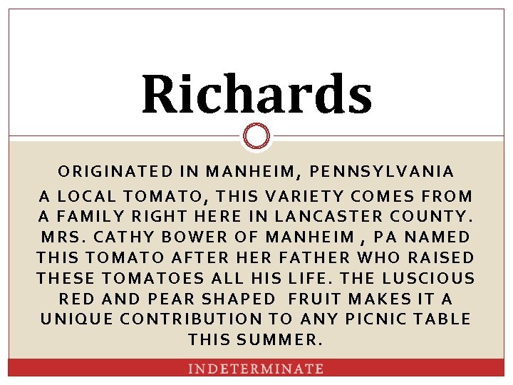 Richards ORIGINATED IN MANHEIM, PENNSYLVANIA A LOCAL TOMATO, THIS VARIETY COMES FROM A FAMILY