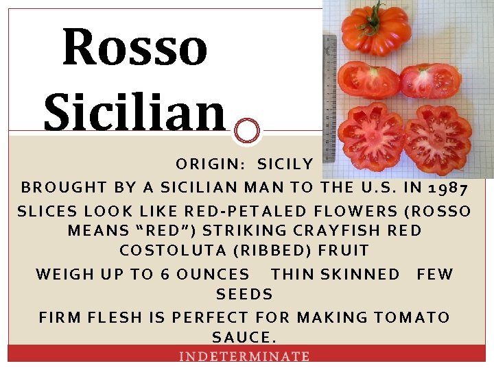 Rosso Sicilian ORIGIN: SICILY BROUGHT BY A SICILIAN MAN TO THE U. S. IN