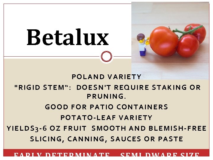 Betalux POLAND VARIETY 