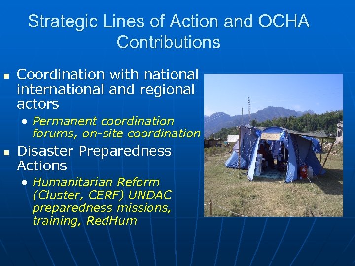Strategic Lines of Action and OCHA Contributions n Coordination with national international and regional