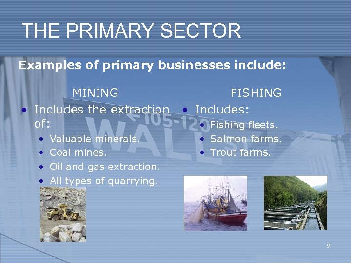 THE PRIMARY SECTOR Examples of primary businesses include: MINING • Includes the extraction of: