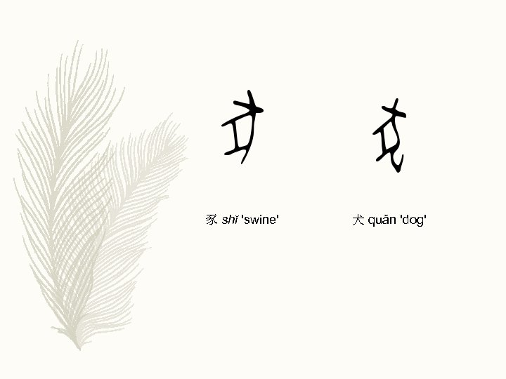 豕 shĭ 'swine' 犬 quǎn 'dog' 