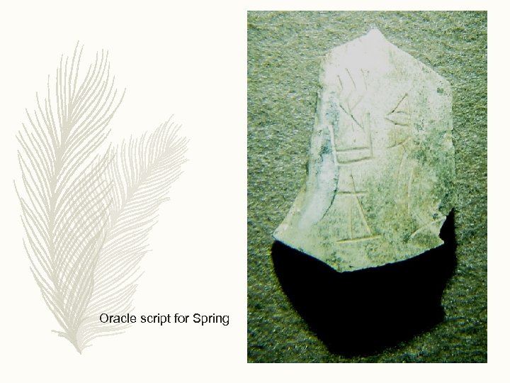 Oracle script for Spring 