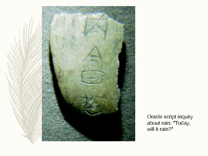 Oracle script inquiry about rain: "Today, will it rain? " 