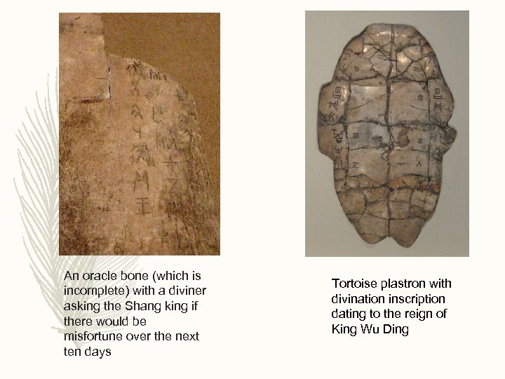 An oracle bone (which is incomplete) with a diviner asking the Shang king if