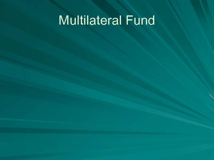 Multilateral Fund 