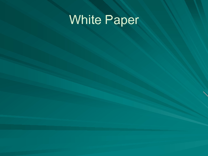 White Paper 