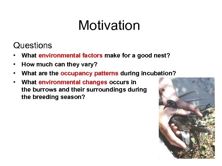 Motivation Questions • • What environmental factors make for a good nest? How much