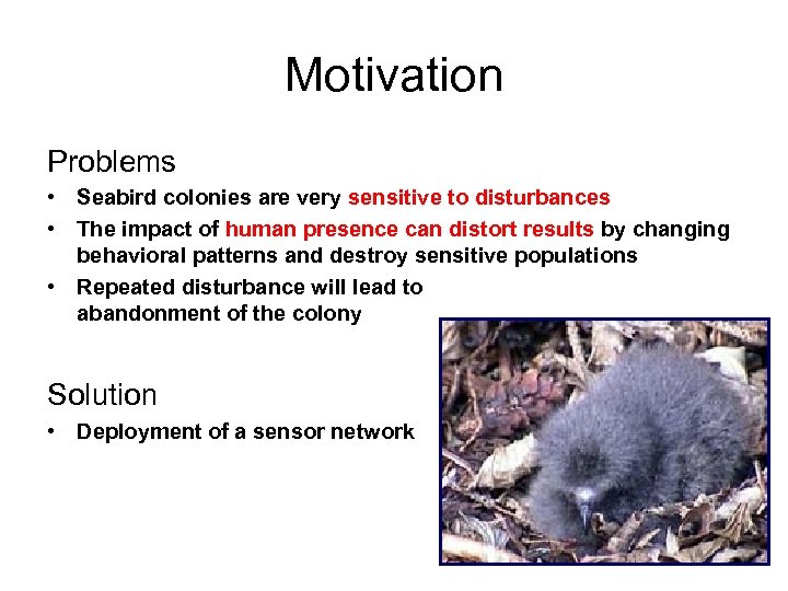 Motivation Problems • Seabird colonies are very sensitive to disturbances • The impact of