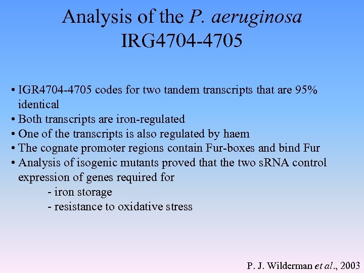 Analysis of the P. aeruginosa IRG 4704 -4705 • IGR 4704 -4705 codes for