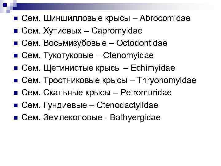 n n n n n Сем. Шиншилловые крысы – Abrocomidae Сем. Хутиевых – Capromyidae