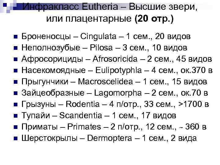 Инфракласс Eutheria – Высшие звери, или плацентарные (20 отр. ) n n n n